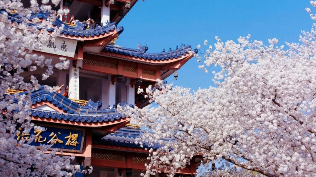 2025 Spain YouTube ကြော်ငြာနှုန်းများ Myanmar များအတွက် လမ်းညွှန်