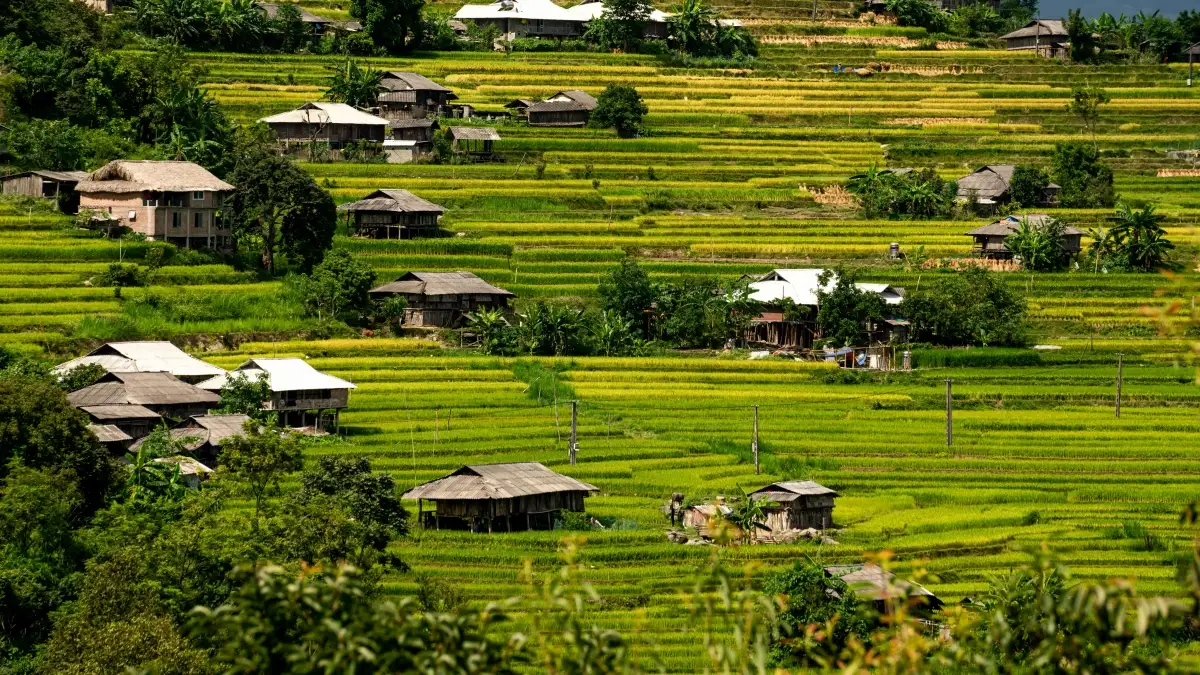 မြန်မာဖန်တီးသူတွေအတွက် Zalo-Slovenia ဒီဇိုင်းထူးခြားမှုများ