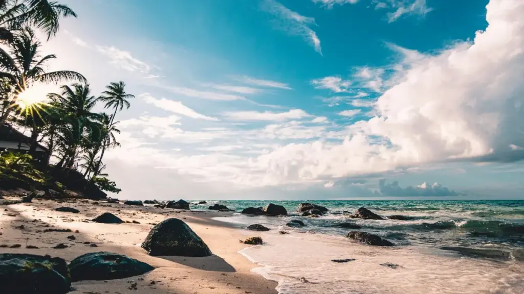 မြန်မာပိုင်ထုတ်ကုန်အတွက် Costa Rica ရှိ Roposo creators များကို ရှာဖွေပြီး အပြည်လေပေါ်မှာ awareness တိုးပေးဖို့ လမ်းညွှန်ချက်များ။