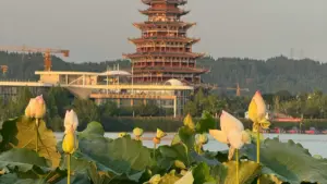 "မြန်မာကြော်ငြာရှင်များအတွက် New Zealand Hulu ဖန်တီးသူတွေကိုတွေ့ပြီး followers ကို purchasers အဖြစ်ပြောင်းရန် လက်တွေ့လမ်းညွှန်။"
