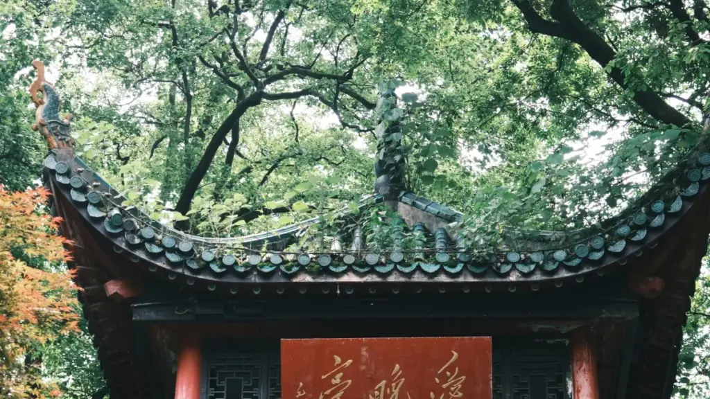 မြန်မာမိတ်ဆွေများအတွက် အက်စ်တိုးနီးယား Snapchat creators တွေကို အာဟာရဆိုင်ရာ supplement brand မျိုးတွေမှာ feature ပြုရန် ရှာဖွေ၊ အဆင်ပြေစေမည့် လက်ခဏာနဲ့ အကြံပေးစာတမ်း။