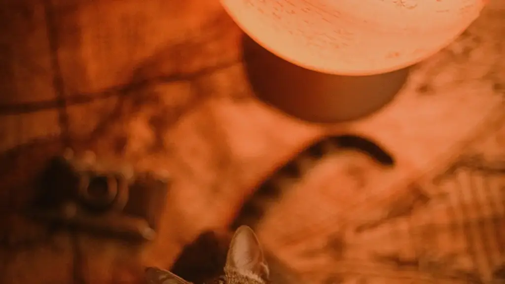 ဗမာလက်စားရှင်အတွက် Uzbekistan မှ ShareChat content creators တွေ ရှာပြီး follower တွေကို buyer ဖြစ်အောင် ပြောင်းသုံးနည်းလမ်းညွှန်။