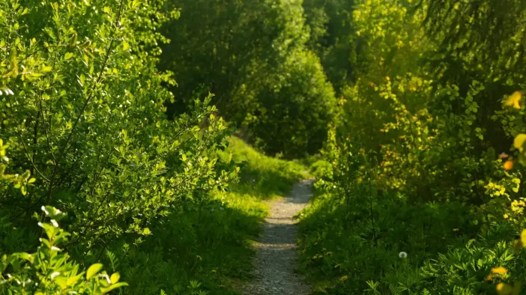 ဣန္ဒိုနီးရှား Discord creator တွေကို မြန်မာကြော်ငြာရှင်တွေအတွက် practical နည်းလမ်းနဲ့ viral ဗီဒီယိုအတွက် ချိတ်ဆက်ပေးမယ့် လမ်းညွှန်။