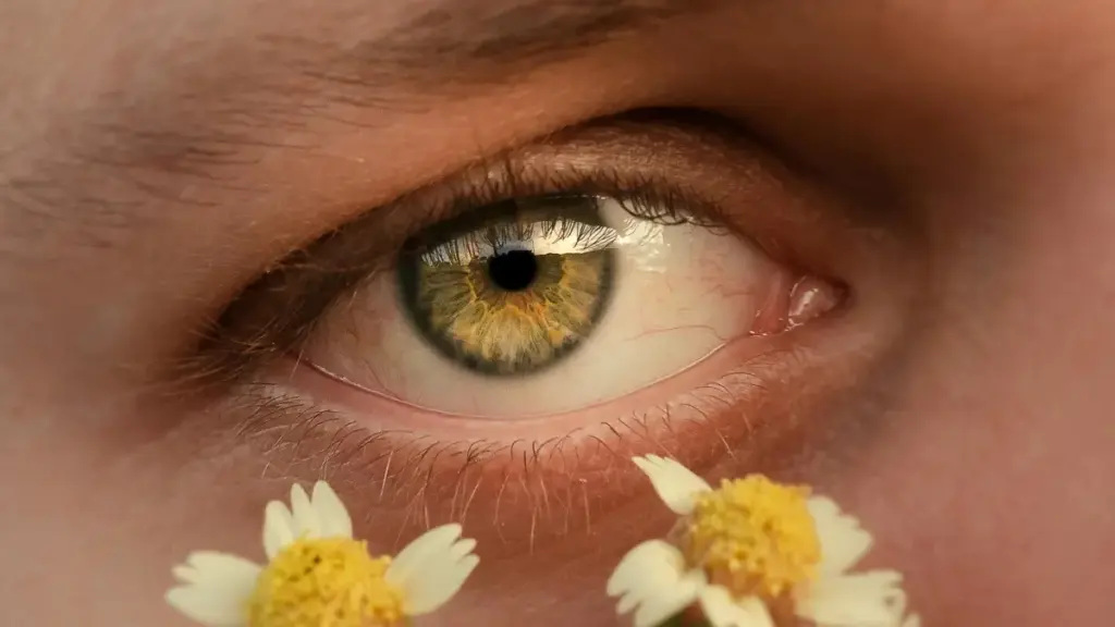 Chingari ပေါ်မှာ Singapore brand တွေနဲ့ ချိတ်ဆက်ပြီး song reaction ဗီဒီယိုတွေလုပ်ချင်သူများအတွက် လက်တွေ့အဆင့်ဆင့် လမ်းညွှန်၊ နောက်ထပ် trending context နဲ့ outreach templates များ။