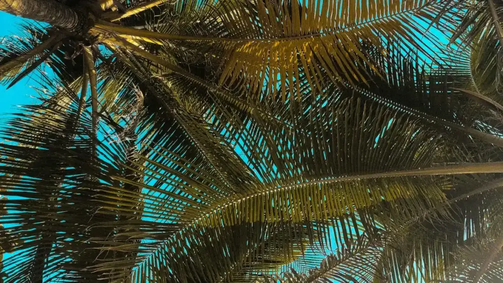 မြန်မာအေဂျင်စီတွေအတွက် Georgia Takatak creators ကို streamer campaigns နဲ့ app installs ပေးဖို့ လက်နှိပ်ချင်တဲ့ လက်တွေ့လမ်းညွှန်။ နောက်ဆုံး trend, agency tips, နှင့် MaTitie VPN အကြံပေးချက်ပါ။