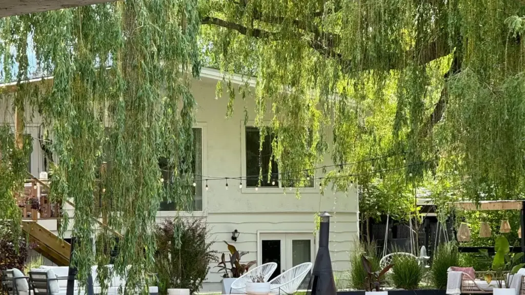 မြန်မာ့ဂျာမသူ ကြော်ငြာရှာဖွေရန် အတွက် ကာဇတ်ကစ္ ShareChat ဖန်တီးသူတွေကို အဆင်ပြေရှာဖွေ ချက်၊ risk နဲ့ trend အစရှိသည့် လမ်းညွှန်လုံးဝ။