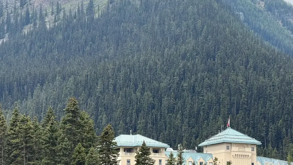 မြန်မာ creator တွေအတွက် Zalo မှ Israel အမှတ်တံဆိပ်တွေဆီပို့ဆက်သွယ်ပြီး wellness campaign တွေသို့ပါဝင်ဖို့ လက်တွေ့လမ်းညွှန်။