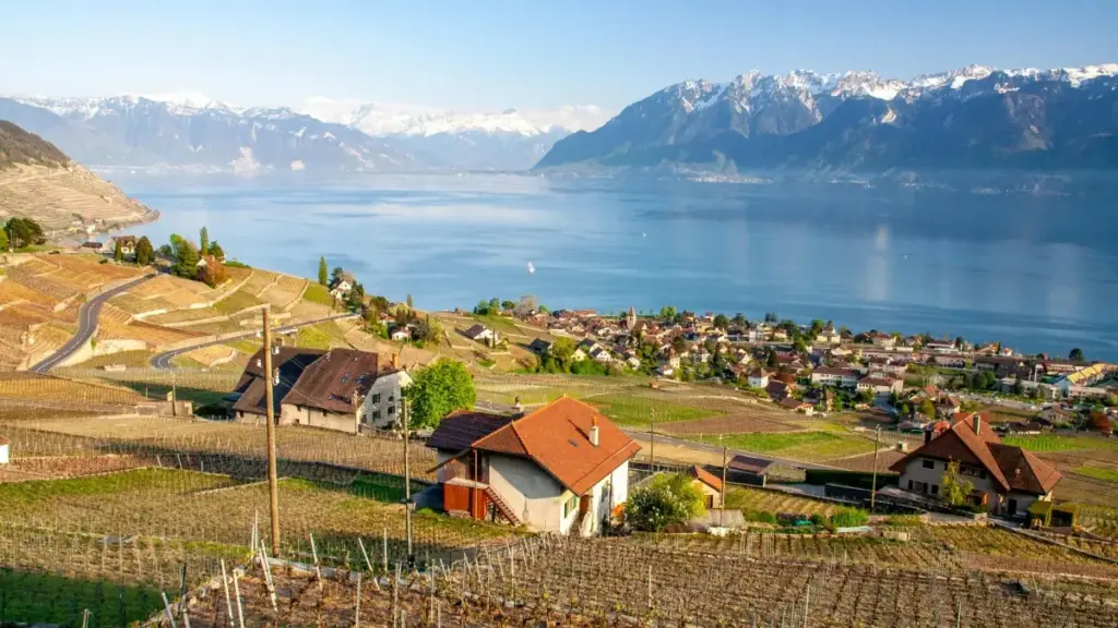 မြန်မာ content creator တွေအတွက် Nepal brand တွေကို Line မှာလက်ခံစေပြီး testimonial ဗီဒီယိုလုပ်ချင်သူများအတွက် လက်ခံနိုင်သော လမ်းကြောင်း၊ ကိစ္စအချက်များနှင့် အလုပ်လက်တွေ့နည်းလမ်းများကို ရှင်းပြထားသည်။