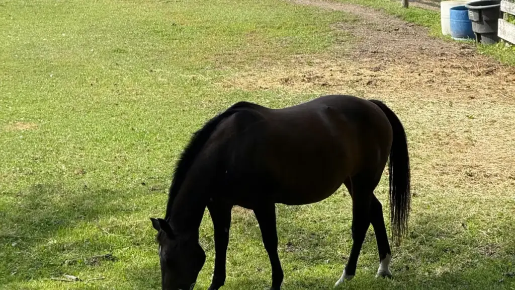 Twitch ပေါ်မှာ long-form product review ရေးဖို့ US brands ကို မြန်မာ creators တွေ ဘယ်လို contact လုပ်မလဲ၊ practical pitch နည်းလမ်းများနှင့် outreach template တွေပါ။