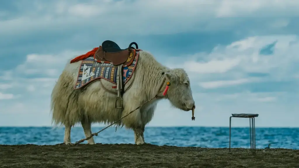 လာအိုမှာ Xiaohongshu creator တွေကို မြန်မာကြော်ကြားရေးအဖွဲ့များအတွက် practical နည်းလမ်းလုံးဝရှင်းပြပါတယ် — ဖိုင်တာများ၊ အကောင်းဆုံး outreach ချမှတ်နည်းနဲ့ ဖျက်တင်းလက်တွေ့ tips များ။