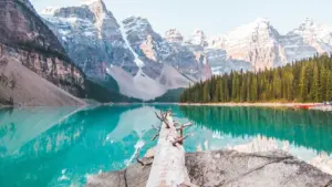 Lazada မှ နိုင်ငံတကာ brand တွေကို ရှာပြီး Algeria brands နဲ့ ဖက်ရှင်ပေါင်းစည်းရေးဆွဲနည်း၊ logistics, ပြဿနာနဲ့ creator စနစ်ပိုင်း လမ်းညွှန်ချက်များ။