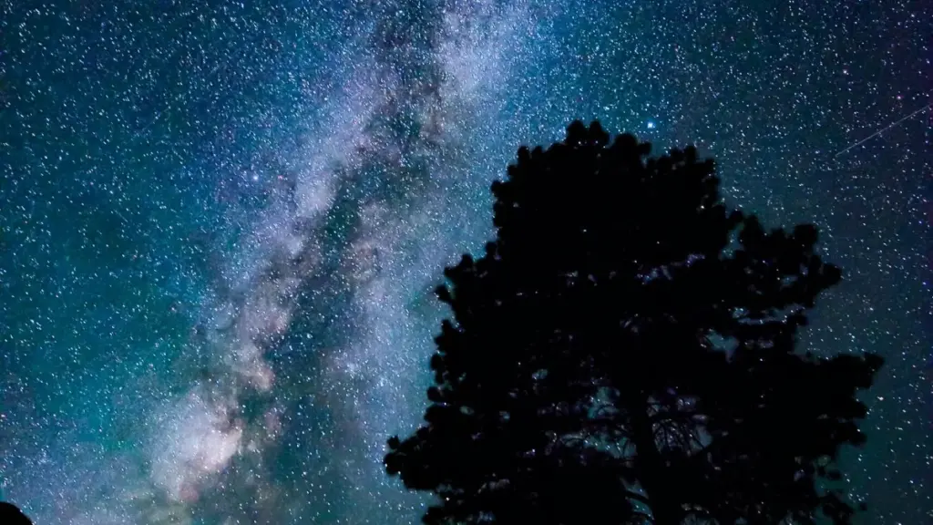 Amazon ပေါ် Latvia brand တွေကို Myanmar creator အနေနဲ့ contact လုပ်ပြီး brand campaign မှာ feature ဖြစ်ဖို့ လက်တွေ့နည်းလမ်းများ၊ platform ကြိုးပမ်းမှုနဲ့ paid ads အကျိုး၊ influencer income trend အချက်များကို လက်ခံရှင်းပြပါတယ်။