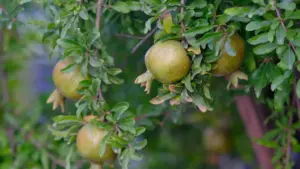 Lithuania ဘရန်းတွေအပေါ် Discord မှတဆင့် short-form branded video အလုပ်လုပ်ချင်သူများအတွက် practical လမ်းညွန်၊ local insights နဲ့ outreach templates များ။