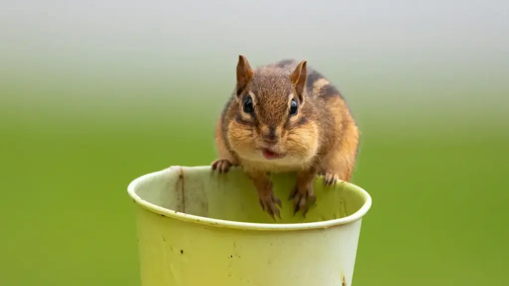 Taobao ကနေ Morocco ဗြက်စုံဘရန်းတွေကို တွေ့ဆုံဖော်ဆောင်ပြီး wardrobe haul ဗီဒီယိုမျိုးတွေ သင်ဘာတွေလုပ်မလဲ၊ ဖောက်သည်ယုံကြည်မှုနဲ့ လုံခြုံရေးတွေပါ ထိန်းသိမ်းပေးမယ့် လက်တွေ့နည်းလမ်းများ။