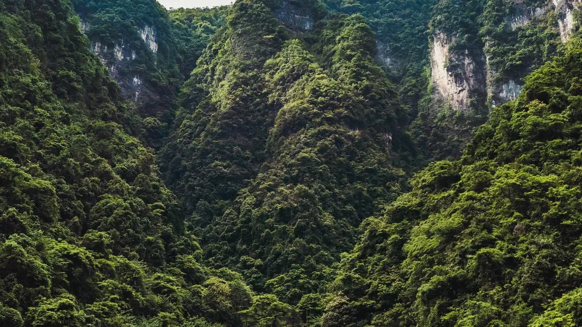 မြန်မာ ကြော်ငြာရှင်များအတွက်: ချက် ပြည် Rumble ချန်နယ်ရှာဖို့ လမ်းညွန်