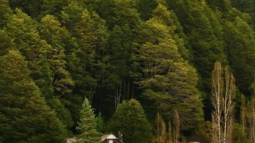 မြန်မာနဲ့ eBay စျေးကွက်အတွက် livestream brand integration လုပ်ချင်သူတွေအတွက် လက်တွေ့နည်းလမ်းများ၊ partner ရွေးချယ်နည်း၊ risk စီမံချက်နဲ့ outreach စနစ်။