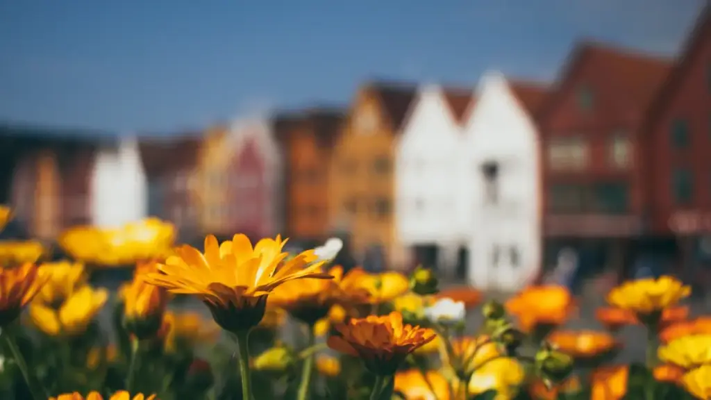 Ukraine အခြေပြု Disney Plus creators တွေကို mid-tier partnership အတွက် ရှာဖွေပြီး ရေရှည်ပူးပေါင်းနည်းလမ်းများ၊ local insight နဲ့ practical steps တွေ။