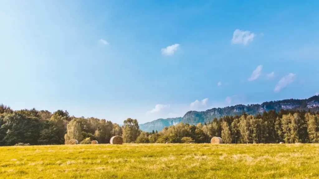 Moj ပေါ်က UK brands တွေကို အရသာရှိစွာ review ဖော်ပြဖို့၊ Myanmar creators တွေဘယ်လိုဆက်သွယ်ရမလဲဆိုတာ လက်တွေ့နည်းလမ်း၊ outreach စာမူနည်းများ၊ VPN သုံးမှုအကြံပေးချက်တို့ပါဝင်သည်။