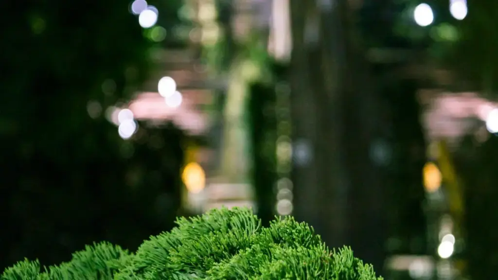 ဗင်နီဇွဲလာ Roposo ဖန်တီးသူတွေကို Myanmar ဗျူရိုအနေနဲ့ ရောနှောရှာဖွေရန် လက်တွေ့လမ်းညွှန်။ မိမိရဲ့ health supplement လိုင်းတွေကို feature ဖို့ practical tactics၊ outreach templates နဲ့ risk note ေတြပါ၀င်တယ်။