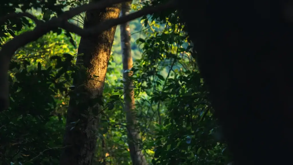 မြန်မာ creator များအတွက် India ရဲ့ Hulu-branded advertisers တွေကို unboxing video ဆက်သွယ်ပြီး collaboration ရရောက်ဖို့ လက်တွေ့နည်းလမ်းများ၊ platform သဘောထား၊ trend နှင့် outreach templates များ။