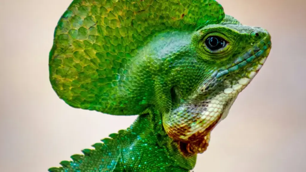 ဖင်လန်အခြေခံ Taobao creators တွေနဲ့ creator-led fitness challenge လျှောက်ပတ်ဖို့ နည်းလမ်းများ၊ local market fit၊ platform အကောင်းဆုံးနည်းလမ်းများကို မြန်မာစတိုင်နဲ့ ဖော်ပြထားပါတယ်။