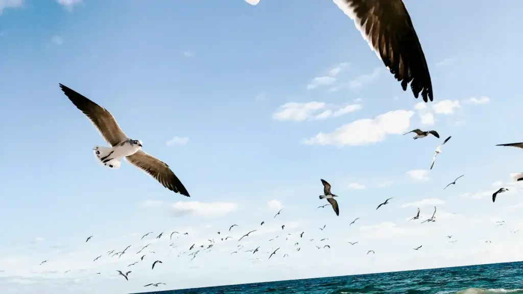 Twitch ပေါ် Costa Rica ဘရမ်ဒ်တွေနဲ့ ဆက်ဆံပြီး အငွေ့သစ် အနုပညာရှင်တွေကို ဖျော်ဖြေဖို့ မြန်မာလို လက်တွေ့နည်းလမ်း၊ ဥပမာနဲ့ အကြံပြုချက်များ။