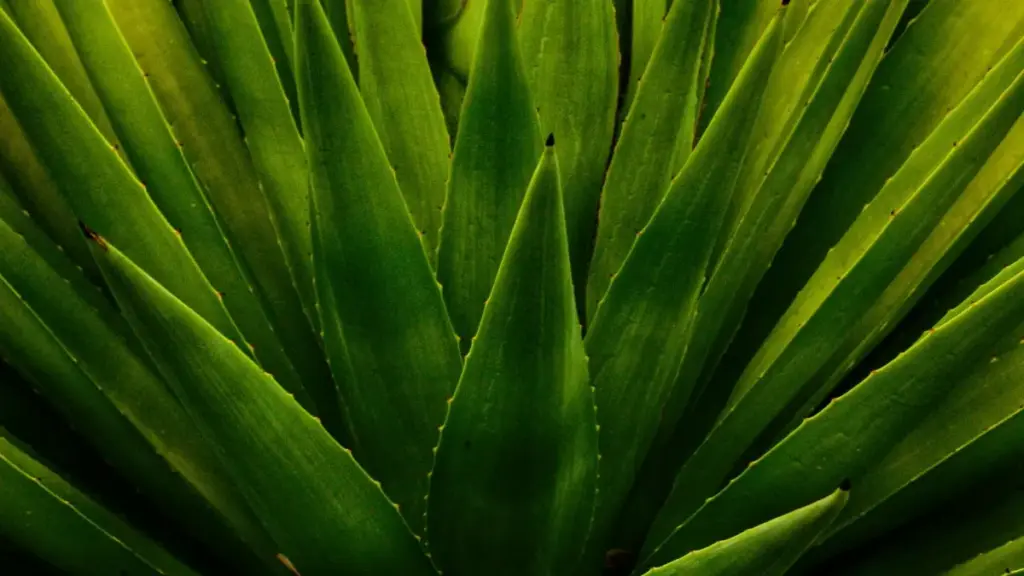 Taobao ပေါ်က Latvia brand တွေကို Myanmar creators သေချာနဲ့ ဆက်သွယ်ပြီး brand ambassador အဖြစ်လိုက်ဖော်ရန် လက်တွေ့အဆင့်ဆင့် လမ်းပြချက်။ Taobao Malaysia campaign အတွေ့အကြုံနဲ့ practical tips တွေပါဝင်။