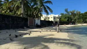 Myanmar creator တွေအတွက် Singapore brand တွေကို Zalo ကနေ ထိထိမိမိချိတ်ဆက်ပြီး ရေရှည် brand deal ရဖို့ လက်တွေ့နည်းလမ်းတွေ၊ trend အမြင်တွေ၊ ပြောနည်းဆိုနည်းတွေကို တစ်ခါတည်းကြည့်နိုင်မယ့် guide ပါ။